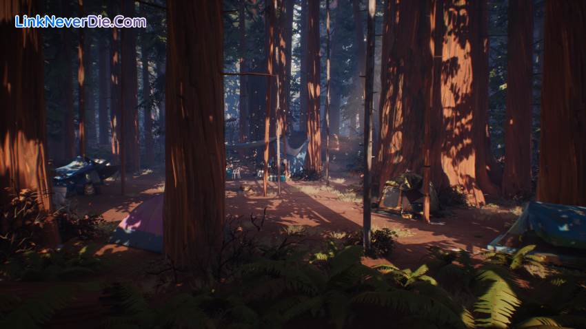 Hình ảnh trong game Life is Strange 2 (screenshot) Hình ảnh trong game Life is Strange 2 (screenshot)