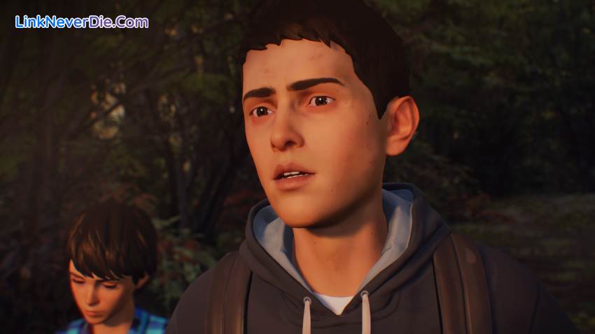 Hình ảnh trong game Life is Strange 2 (screenshot) Hình ảnh trong game Life is Strange 2 (screenshot)