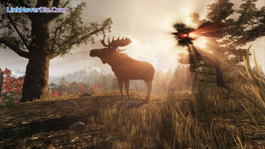 Hình ảnh trong game Subsistence (screenshot) Hình ảnh trong game Subsistence (screenshot)