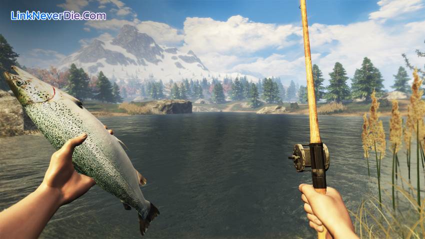 Hình ảnh trong game Subsistence (screenshot) Hình ảnh trong game Subsistence (screenshot)