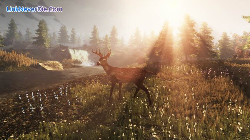 Hình ảnh trong game Subsistence (screenshot) Hình ảnh trong game Subsistence (screenshot)