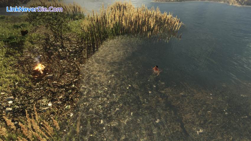 Hình ảnh trong game Subsistence (screenshot) Hình ảnh trong game Subsistence (screenshot)