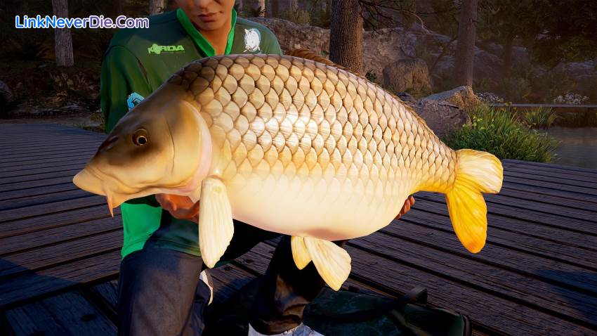 Hình ảnh trong game Fishing Sim World (screenshot) Hình ảnh trong game Fishing Sim World (screenshot)