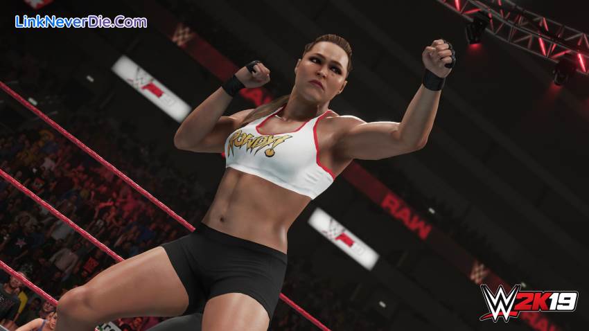 Hình ảnh trong game WWE 2k19 (screenshot) Hình ảnh trong game WWE 2k19 (screenshot)