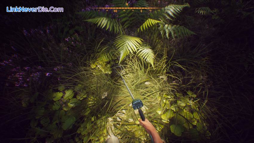 Hình ảnh trong game Treasure Hunter Simulator (screenshot) Hình ảnh trong game Treasure Hunter Simulator (screenshot)