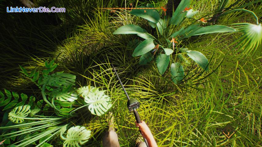 Hình ảnh trong game Treasure Hunter Simulator (screenshot) Hình ảnh trong game Treasure Hunter Simulator (screenshot)