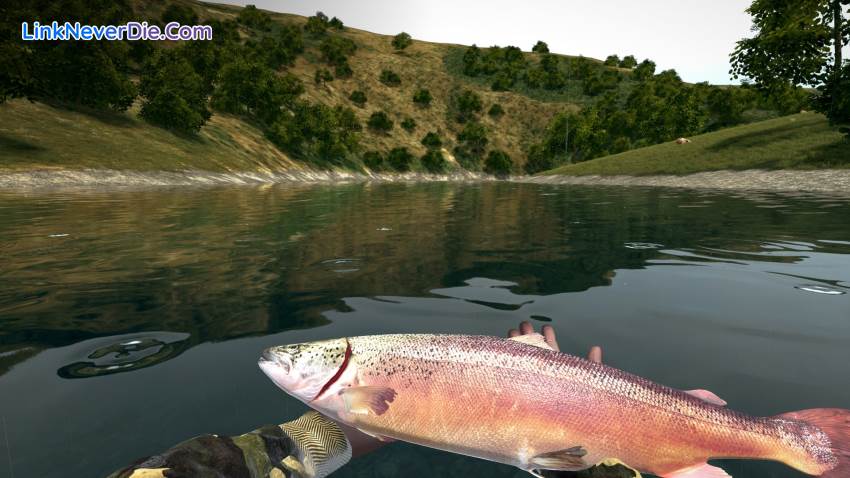 Hình ảnh trong game Ultimate Fishing Simulator (screenshot) Hình ảnh trong game Ultimate Fishing Simulator (screenshot)