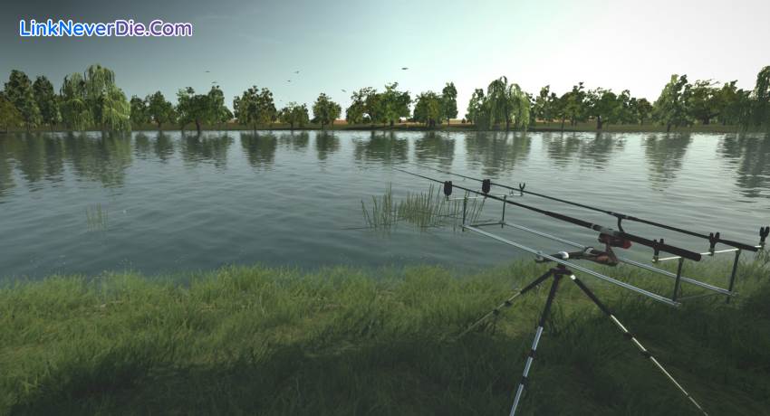 Hình ảnh trong game Ultimate Fishing Simulator (screenshot) Hình ảnh trong game Ultimate Fishing Simulator (screenshot)