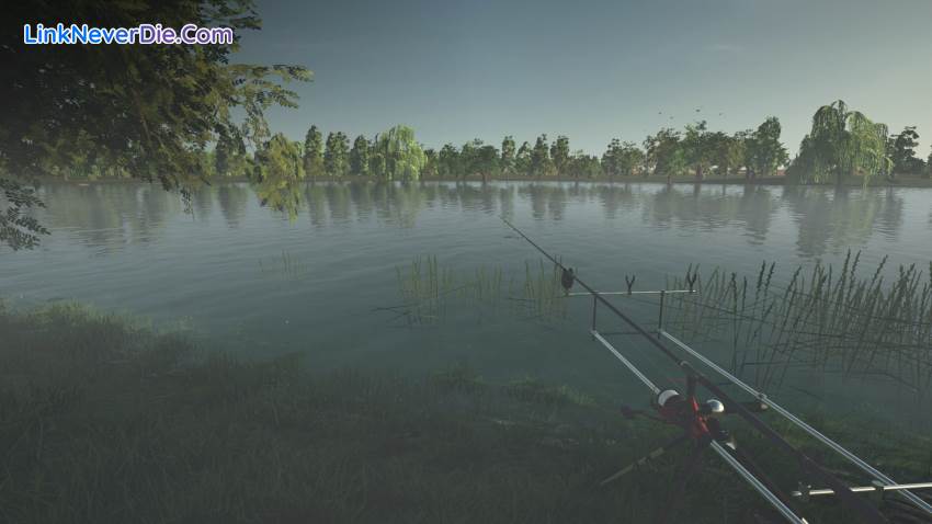 Hình ảnh trong game Ultimate Fishing Simulator (screenshot) Hình ảnh trong game Ultimate Fishing Simulator (screenshot)