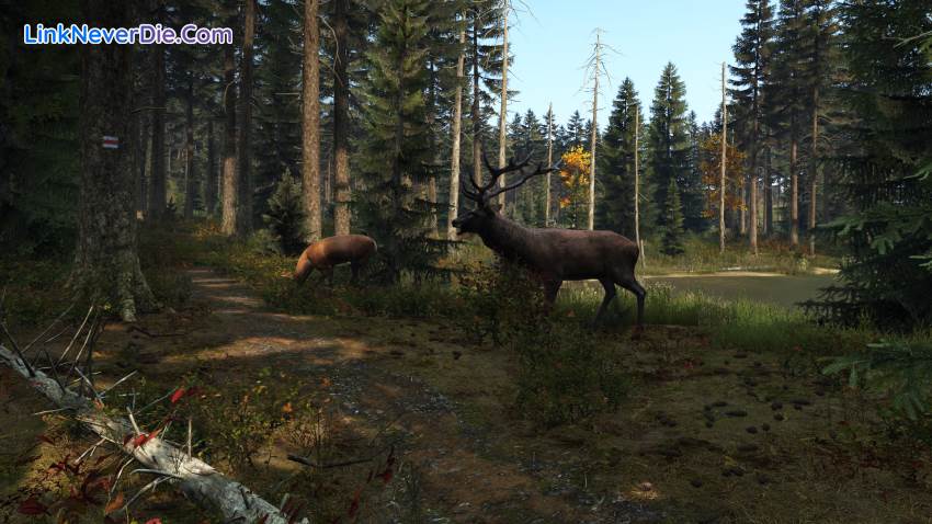 Hình ảnh trong game DayZ (screenshot) Hình ảnh trong game DayZ (screenshot)