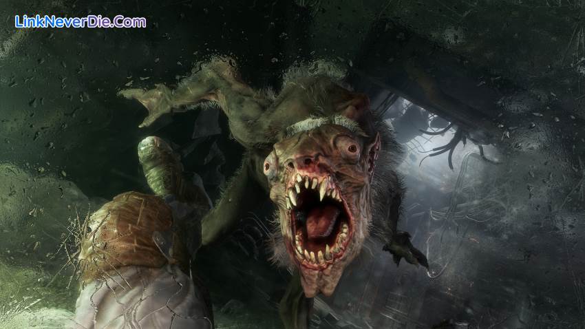 Hình ảnh trong game Metro Exodus (screenshot) Hình ảnh trong game Metro Exodus (screenshot)