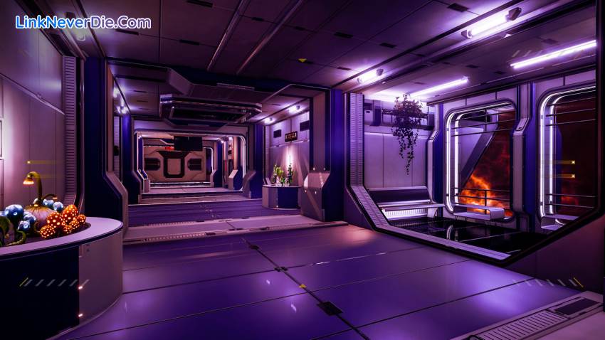 Hình ảnh trong game Stardrop (screenshot) Hình ảnh trong game Stardrop (screenshot)