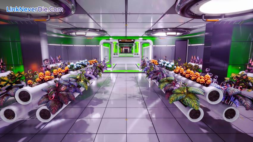 Hình ảnh trong game Stardrop (screenshot) Hình ảnh trong game Stardrop (screenshot)