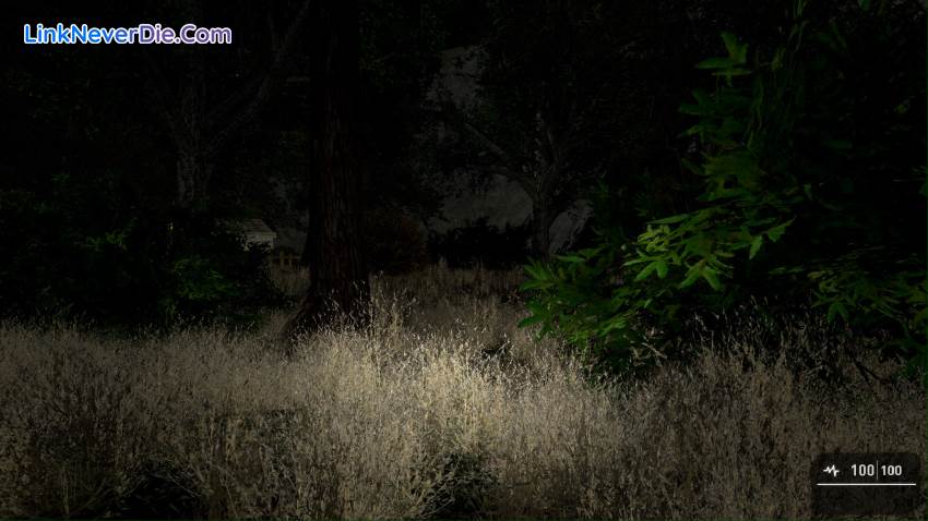 Hình ảnh trong game THE RITUAL (Indie Horror Game) (screenshot) Hình ảnh trong game THE RITUAL (Indie Horror Game) (screenshot)