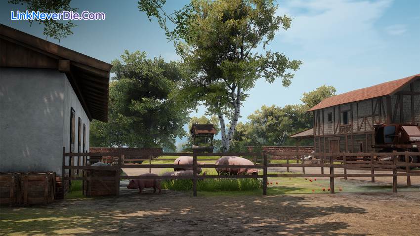 Hình ảnh trong game Windstorm / Ostwind - Ari's Arrival (screenshot) Hình ảnh trong game Windstorm / Ostwind - Ari's Arrival (screenshot)