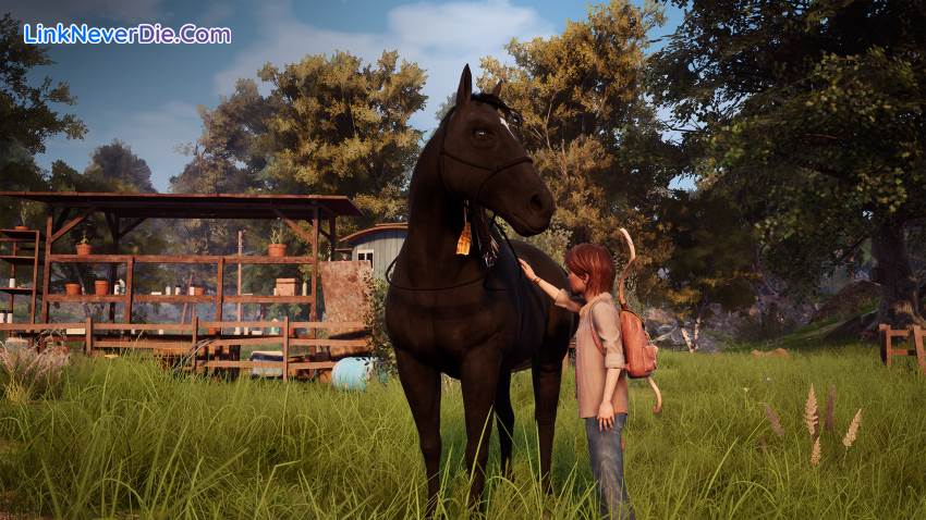 Hình ảnh trong game Windstorm / Ostwind - Ari's Arrival (screenshot) Hình ảnh trong game Windstorm / Ostwind - Ari's Arrival (screenshot)