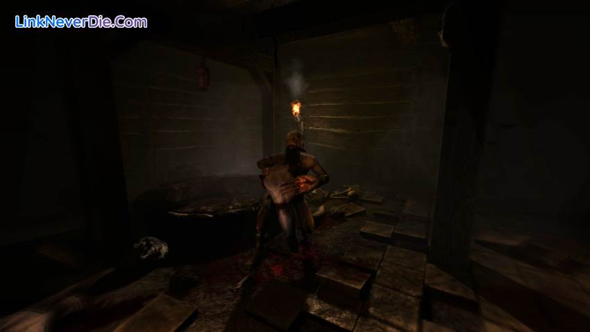 Hình ảnh trong game Amnesia The Dark Descent (screenshot) Hình ảnh trong game Amnesia The Dark Descent (screenshot)