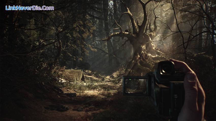 Hình ảnh trong game Blair Witch (screenshot) Hình ảnh trong game Blair Witch (screenshot)