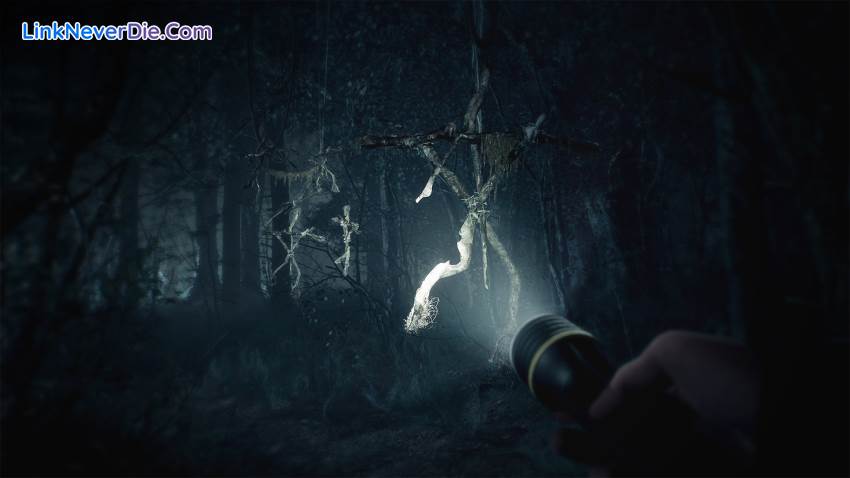 Hình ảnh trong game Blair Witch (screenshot) Hình ảnh trong game Blair Witch (screenshot)