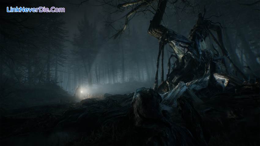 Hình ảnh trong game Blair Witch (screenshot) Hình ảnh trong game Blair Witch (screenshot)