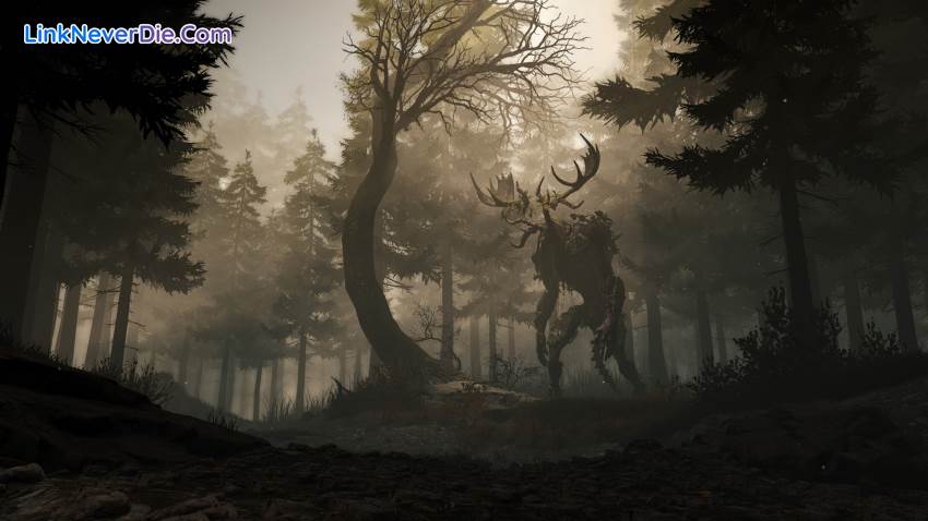 Hình ảnh trong game GreedFall (screenshot) Hình ảnh trong game GreedFall (screenshot)