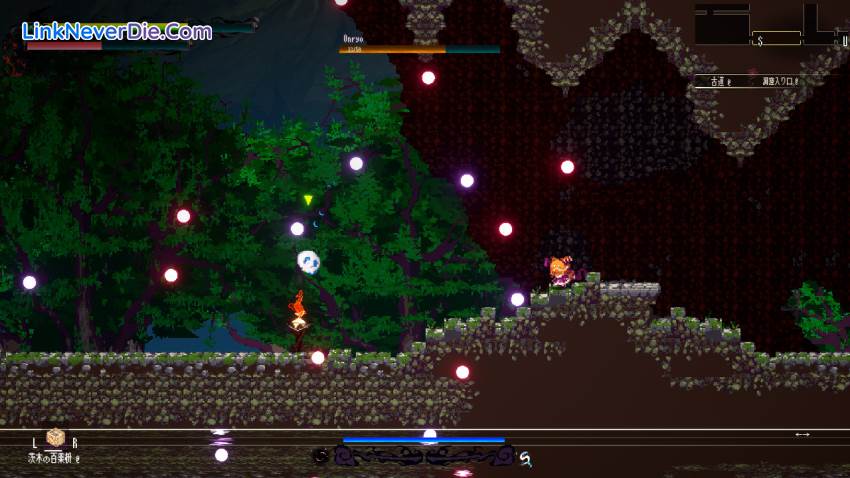 Hình ảnh trong game Gensokyo Night Festival (screenshot) Hình ảnh trong game Gensokyo Night Festival (screenshot)