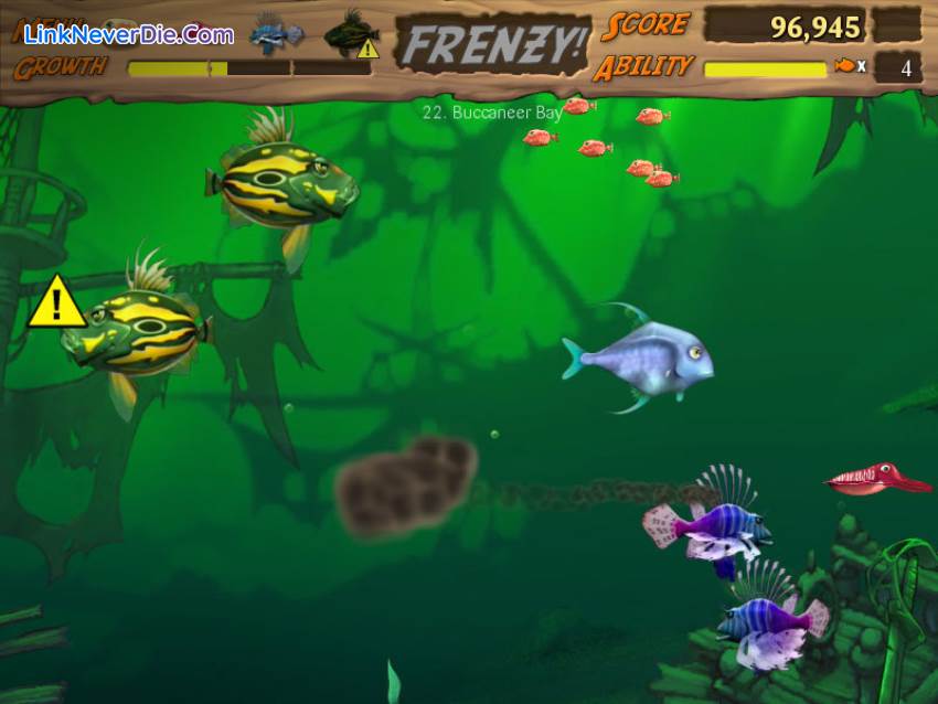 Hình ảnh trong game Feeding Frenzy (screenshot) Hình ảnh trong game Feeding Frenzy (screenshot)