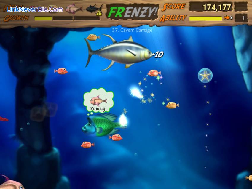 Hình ảnh trong game Feeding Frenzy (screenshot) Hình ảnh trong game Feeding Frenzy (screenshot)