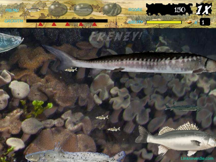 Hình ảnh trong game Feeding Frenzy - The water China (screenshot) Hình ảnh trong game Feeding Frenzy - The water China (screenshot)