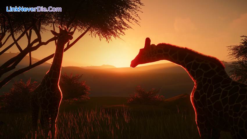 Hình ảnh trong game Planet Zoo (screenshot) Hình ảnh trong game Planet Zoo (screenshot)