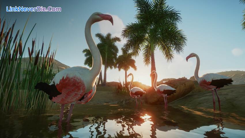 Hình ảnh trong game Planet Zoo (screenshot) Hình ảnh trong game Planet Zoo (screenshot)