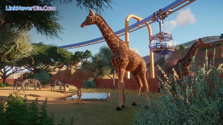 Hình ảnh trong game Planet Zoo (screenshot) Hình ảnh trong game Planet Zoo (screenshot)