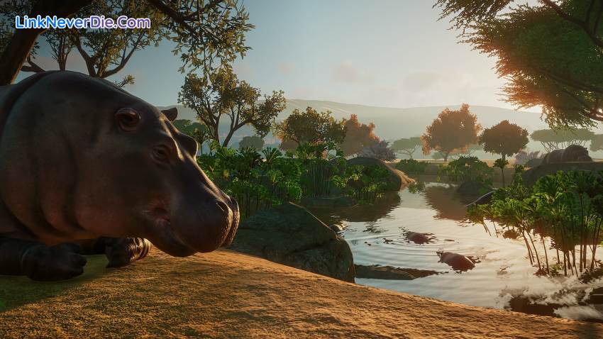 Hình ảnh trong game Planet Zoo (screenshot) Hình ảnh trong game Planet Zoo (screenshot)