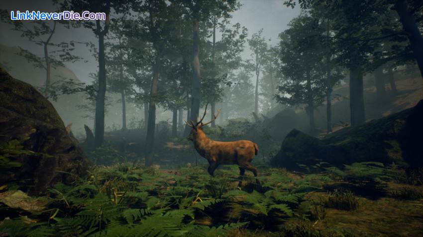 Hình ảnh trong game Folklore Hunter (screenshot) Hình ảnh trong game Folklore Hunter (screenshot)