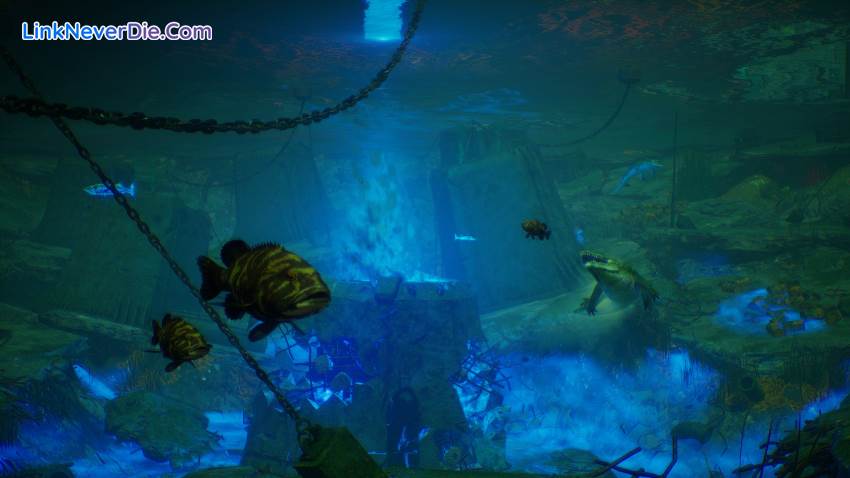 Hình ảnh trong game Maneater (screenshot) Hình ảnh trong game Maneater (screenshot)