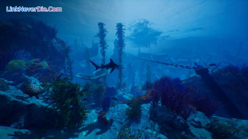Hình ảnh trong game Maneater (screenshot) Hình ảnh trong game Maneater (screenshot)