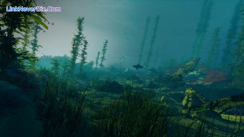 Hình ảnh trong game Maneater (screenshot) Hình ảnh trong game Maneater (screenshot)