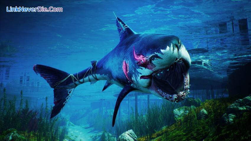 Hình ảnh trong game Maneater (screenshot) Hình ảnh trong game Maneater (screenshot)