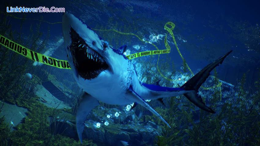 Hình ảnh trong game Maneater (screenshot) Hình ảnh trong game Maneater (screenshot)