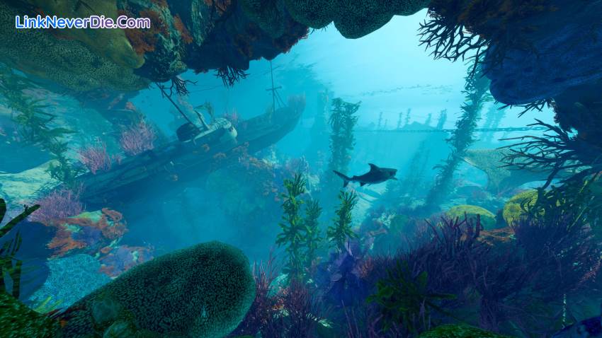 Hình ảnh trong game Maneater (screenshot) Hình ảnh trong game Maneater (screenshot)