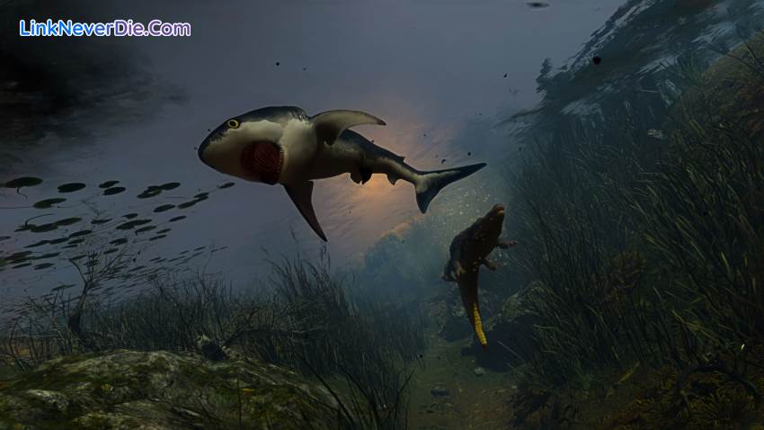 Hình ảnh trong game Maneater (screenshot) Hình ảnh trong game Maneater (screenshot)