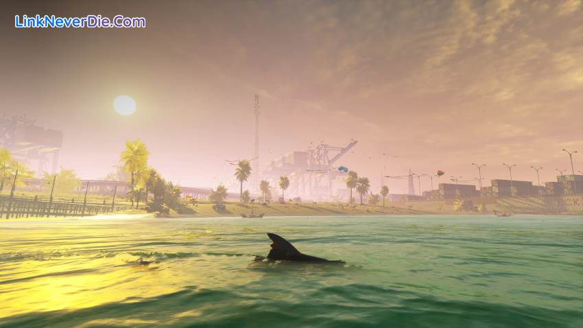 Hình ảnh trong game Maneater (screenshot) Hình ảnh trong game Maneater (screenshot)