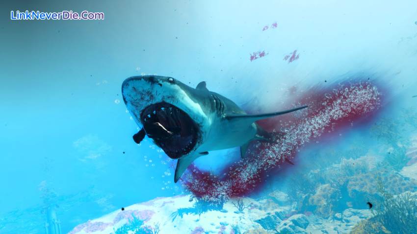 Hình ảnh trong game Maneater (screenshot) Hình ảnh trong game Maneater (screenshot)