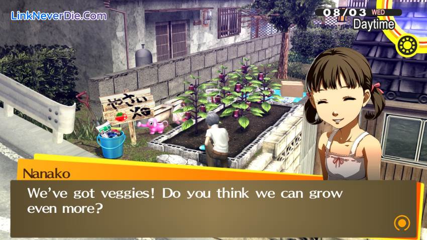 Hình ảnh trong game Persona 4 Golden (screenshot) Hình ảnh trong game Persona 4 Golden (screenshot)