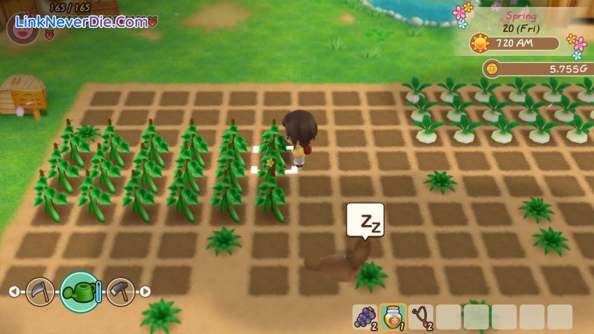 Hình ảnh trong game STORY OF SEASONS: Friends of Mineral Town (screenshot) Hình ảnh trong game STORY OF SEASONS: Friends of Mineral Town (screenshot)