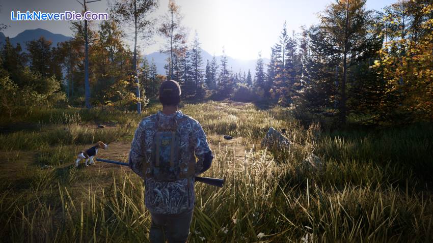 Hình ảnh trong game Hunting Simulator 2 (screenshot) Hình ảnh trong game Hunting Simulator 2 (screenshot)