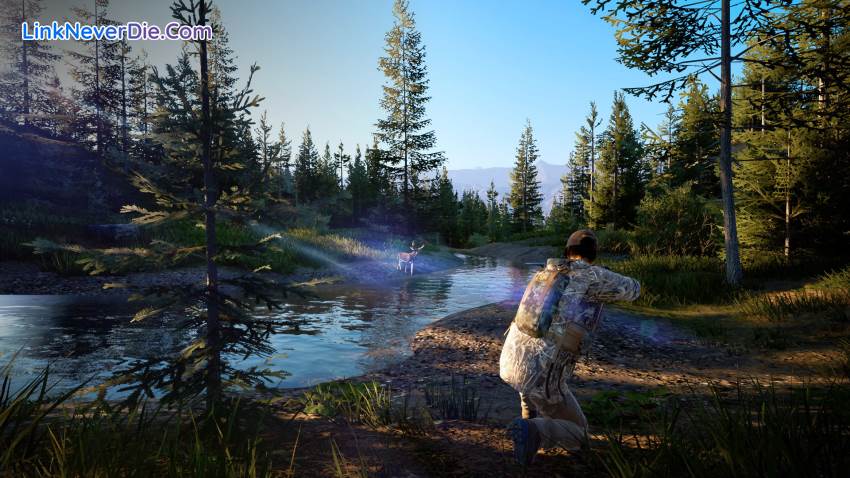 Hình ảnh trong game Hunting Simulator 2 (screenshot) Hình ảnh trong game Hunting Simulator 2 (screenshot)