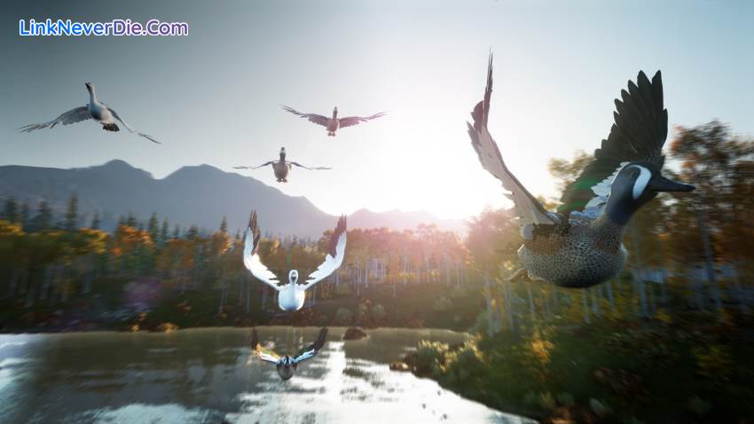 Hình ảnh trong game Hunting Simulator 2 (screenshot) Hình ảnh trong game Hunting Simulator 2 (screenshot)