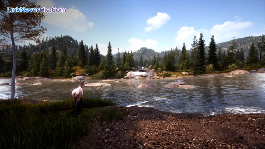 Hình ảnh trong game Hunting Simulator 2 (screenshot) Hình ảnh trong game Hunting Simulator 2 (screenshot)