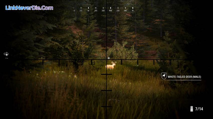 Hình ảnh trong game Hunting Simulator 2 (screenshot) Hình ảnh trong game Hunting Simulator 2 (screenshot)